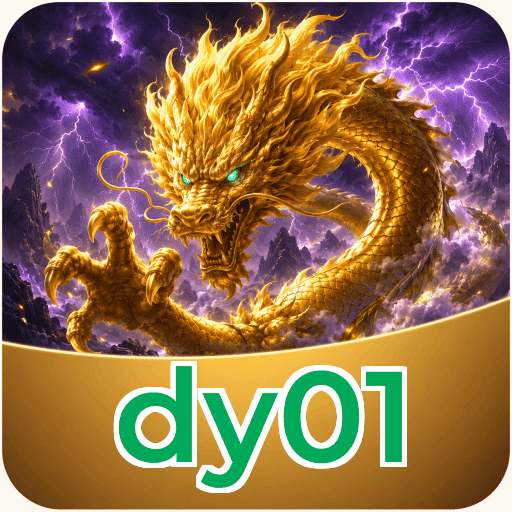 dy01 FAQ